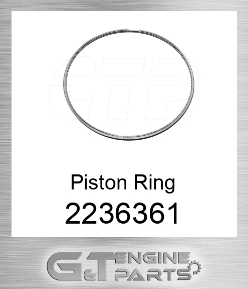 2236361 RING-PISTON OIL