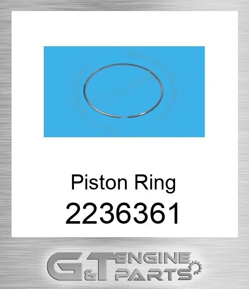 2236361 RING-PISTON OIL