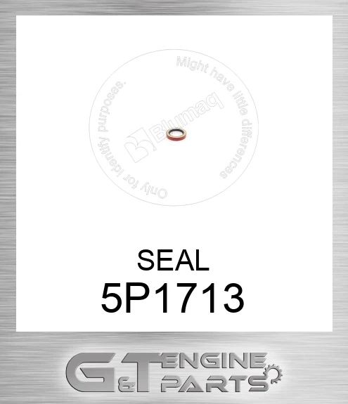 5P1713 SEAL