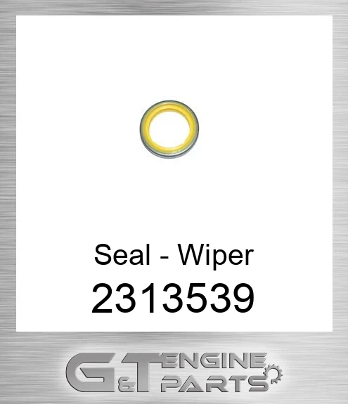 2313539 Seal, Lip Type