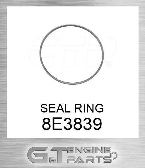 8E3839 SEAL RING