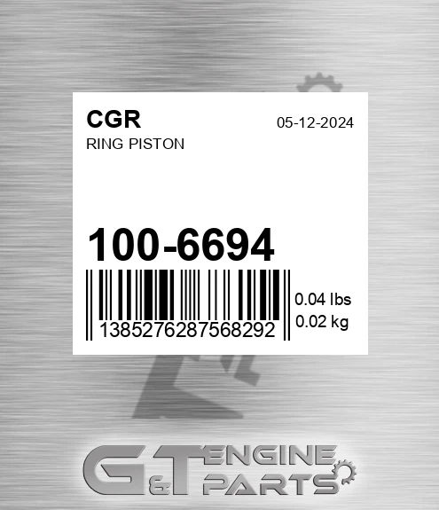 100-6694 Ring Piston