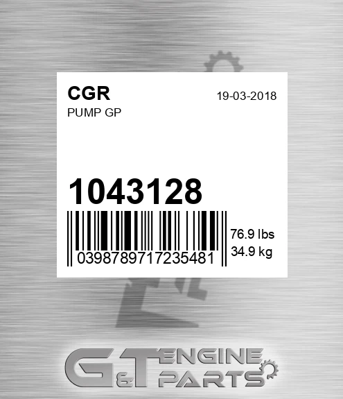 1043128 Pump Gp