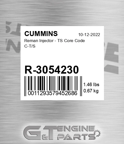 R-3054230 Reman Injector - TS Core Code C-T/S