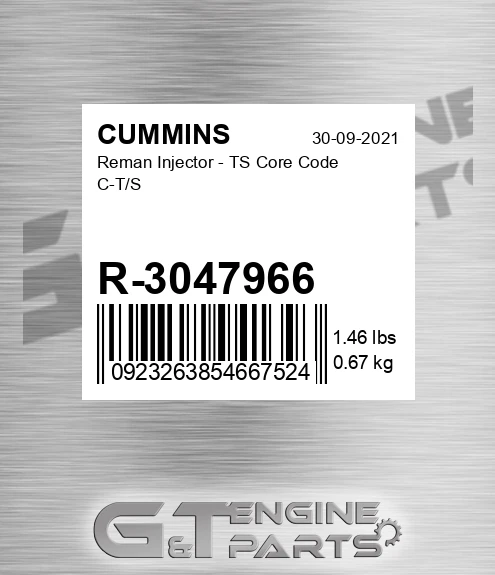 R-3047966 Reman Injector - TS Core Code C-T/S