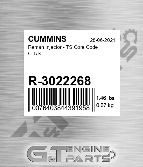 R-3022268 Reman Injector - TS Core Code C-T/S