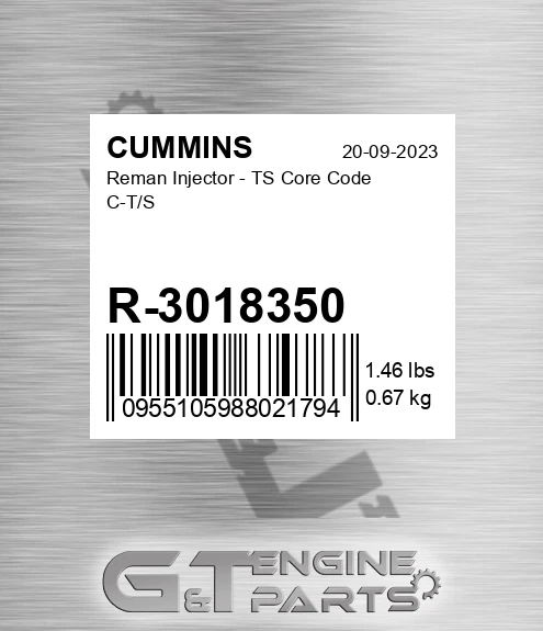R-3018350 Reman Injector - TS Core Code C-T/S