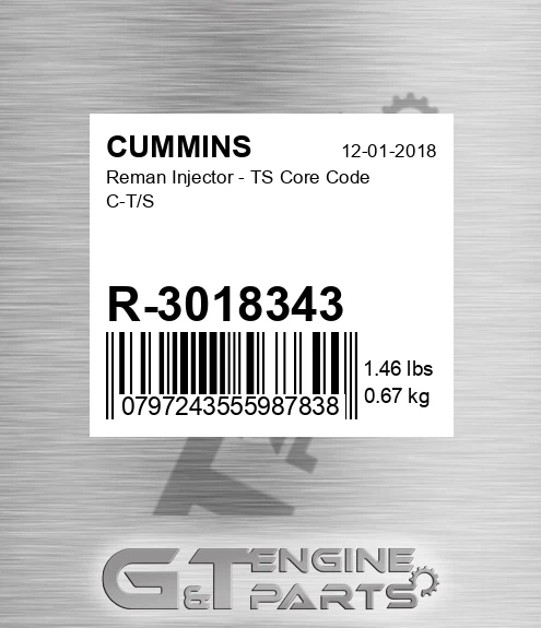 R-3018343 Reman Injector - TS Core Code C-T/S