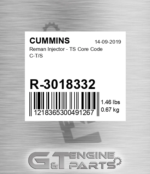R-3018332 Reman Injector - TS Core Code C-T/S