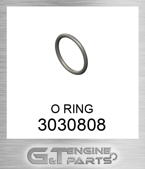 3030808 O RING