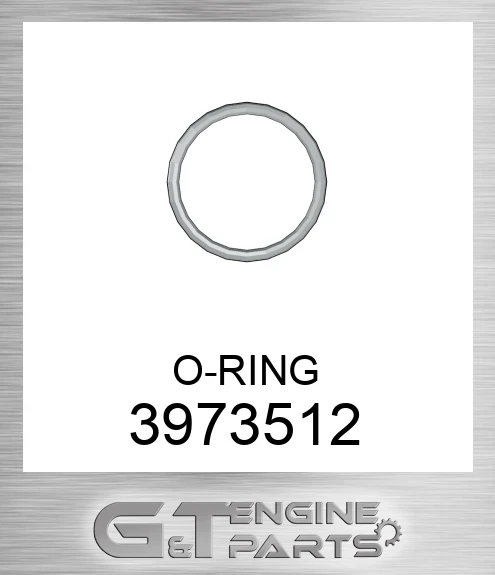 3973512 O-RING