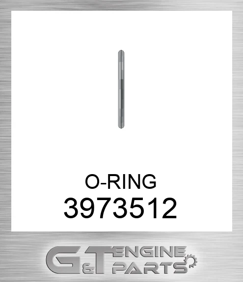 3973512 O-RING