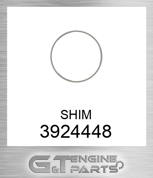 3924448 SHIM