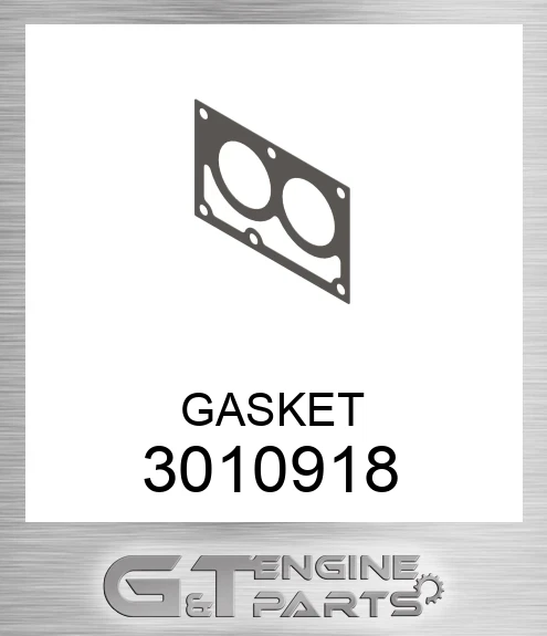 3010918 GASKET