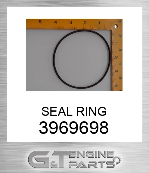 3969698 SEAL RING