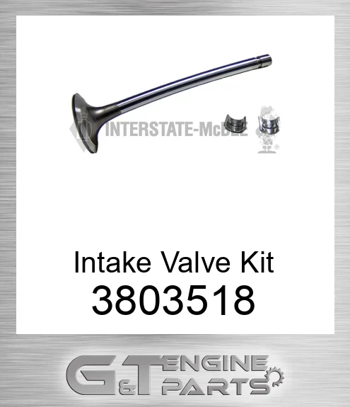 3803518 Intake Valve Kit