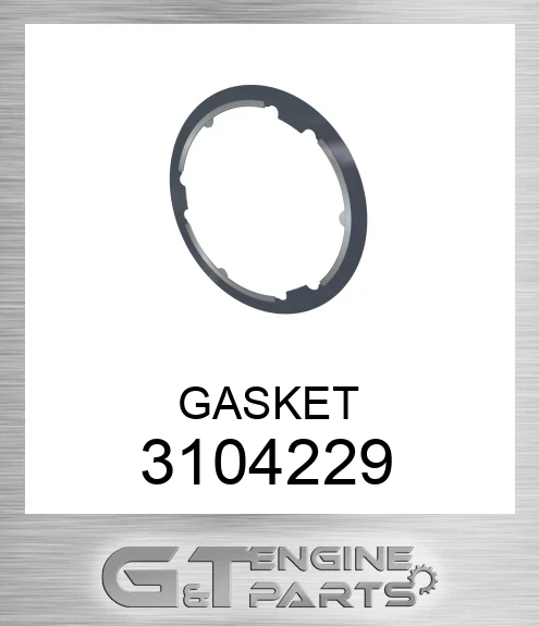 3104229 GASKET