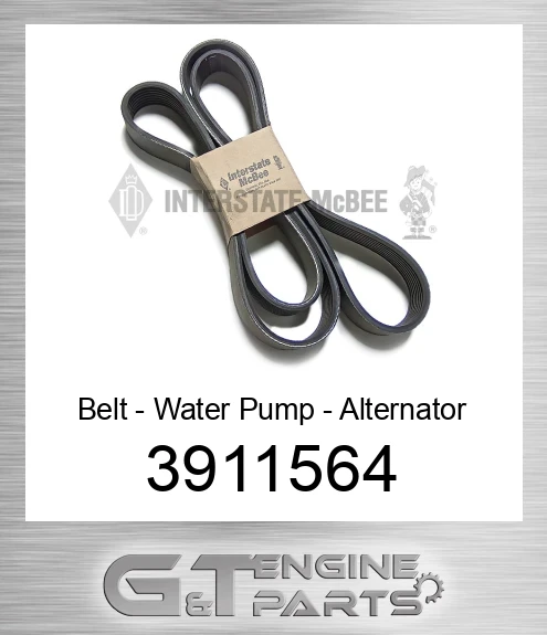 3911564 Belt - Water Pump - Alternator
