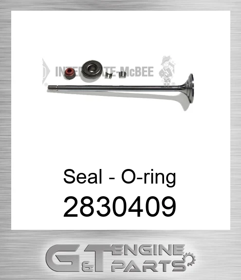 2830409 Seal - O-ring