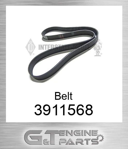 3911568 Belt