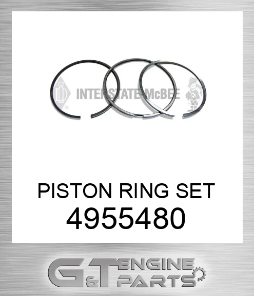 4955480 PISTON RING SET