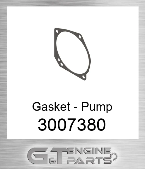 3007380 Gasket - Pump