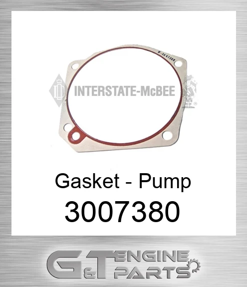 3007380 Gasket - Pump