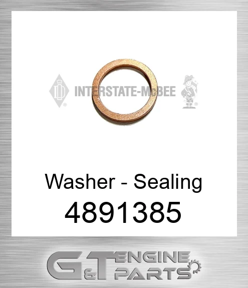 4891385 Washer - Sealing