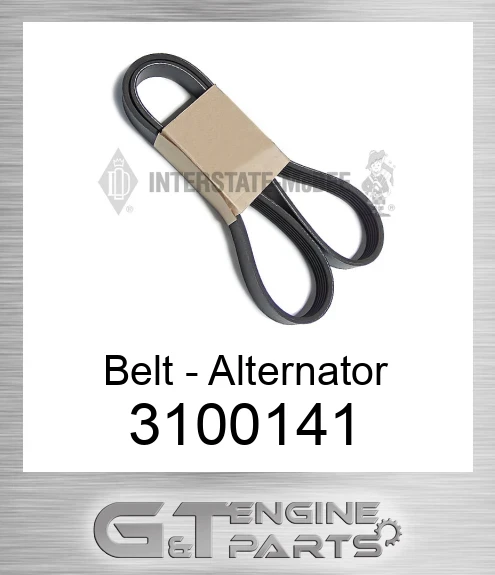 3100141 Belt - Alternator