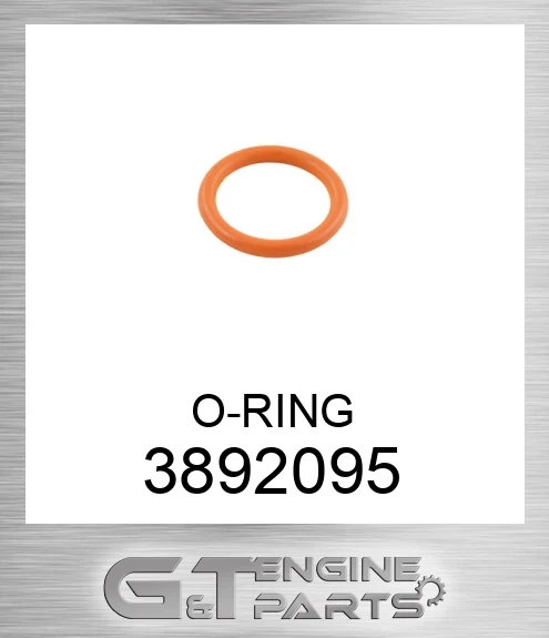 3892095 O-RING