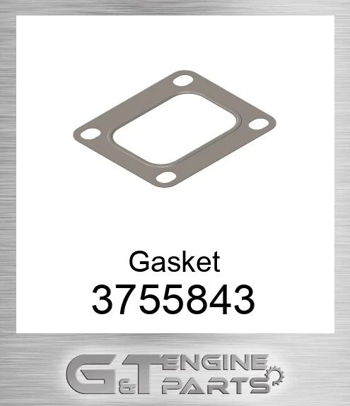 3755843 Gasket