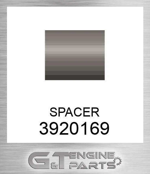 3920169 SPACER
