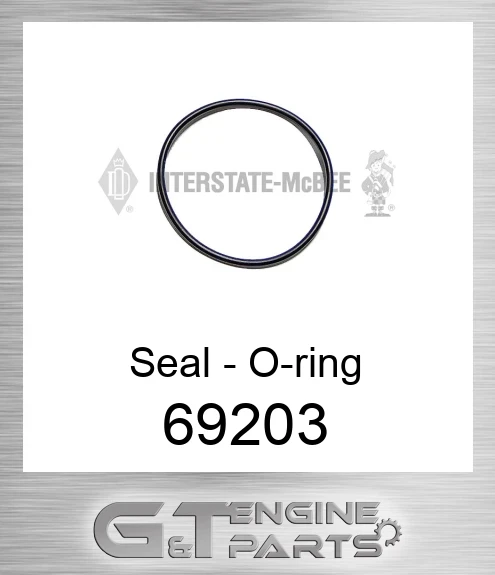 69203 Seal - O-ring