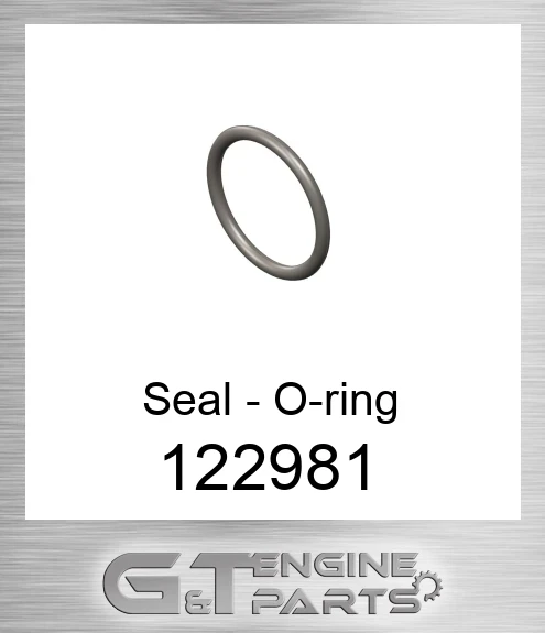 122981 Seal - O-ring