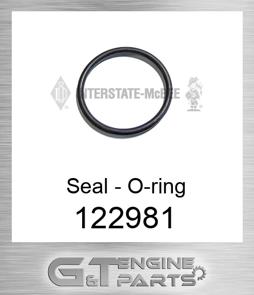122981 Seal - O-ring