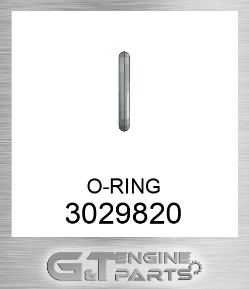 3029820 O-RING