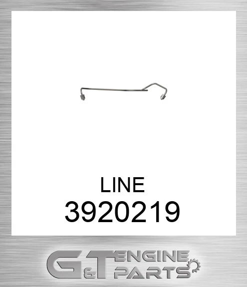 3920219 LINE