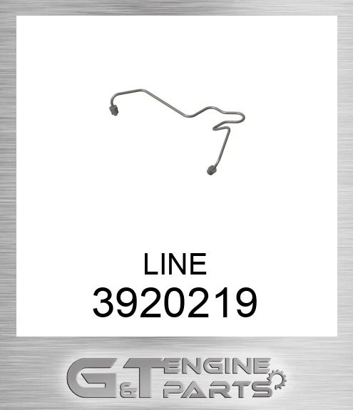 3920219 LINE