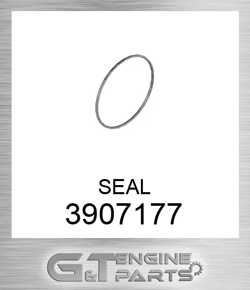 3907177 SEAL