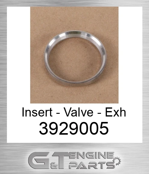3929005 Insert - Valve - Exh