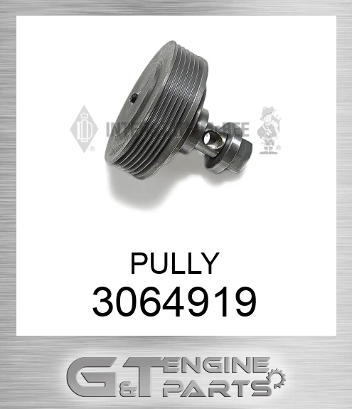 3064919 PULLY