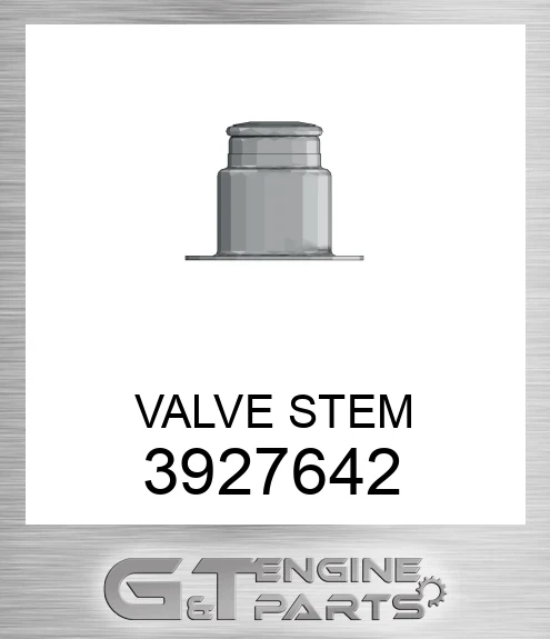 3927642 VALVE STEM