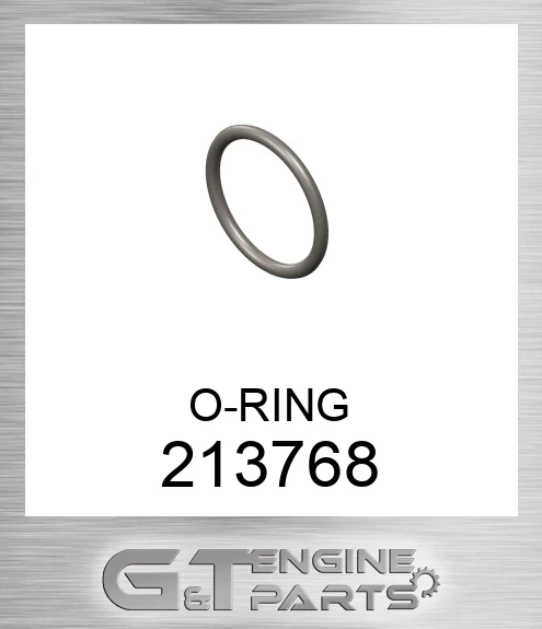 213768 O-RING