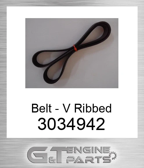 3034942 Belt - V Ribbed