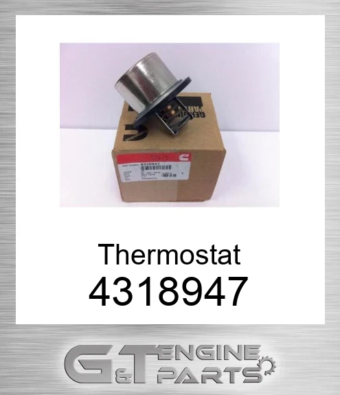 4318947 Thermostat