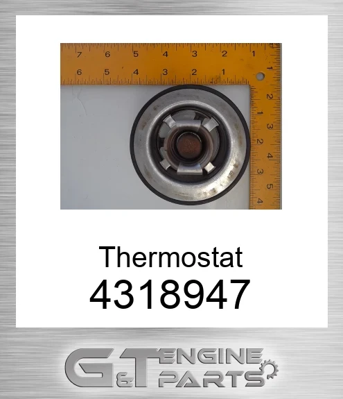 4318947 Thermostat