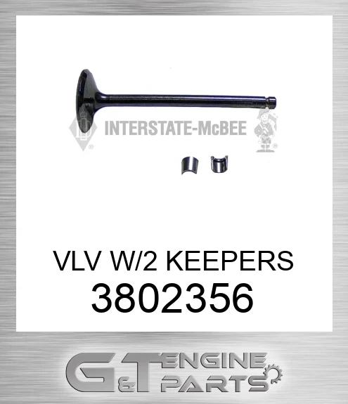 3802356 VLV W/2 KEEPERS