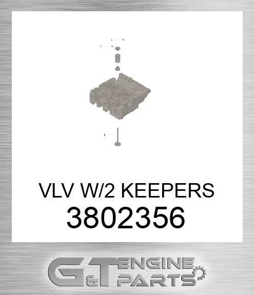 3802356 VLV W/2 KEEPERS