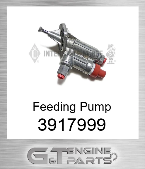3917999 Feeding Pump