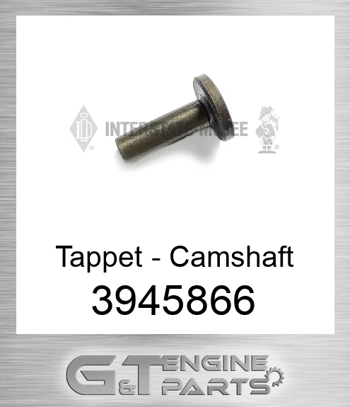 3945866 Tappet - Camshaft